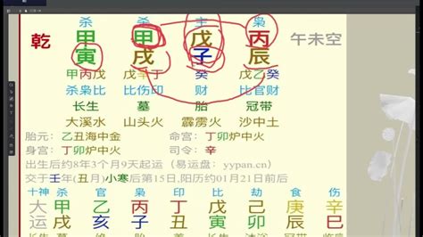 五行字庫查詢 干支自合